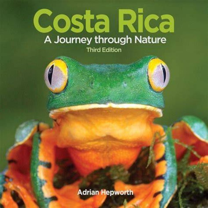 Cohutta Real World: A Journey Through Nature and Adventure