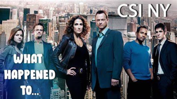 CSI: NY Cast - Who Starred in the Hit Show?