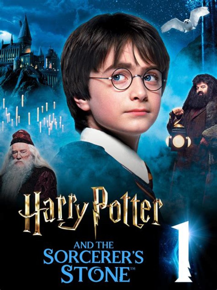 Harry Potter and the Sorcerer's Stone Cast: Iconic Roles &amp; Stars
