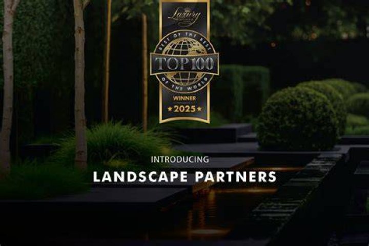 Top Adil Ray Partners & Collaborators