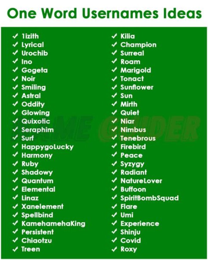 Unique and Creative Cool One Word Usernames: A Comprehensive Guide