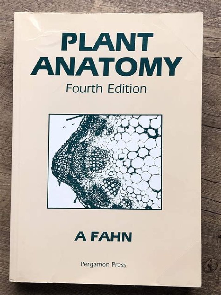 Unveiling the Legacy of Dorothy Elias-Fahn: A Journey Through Her Remarkable Career